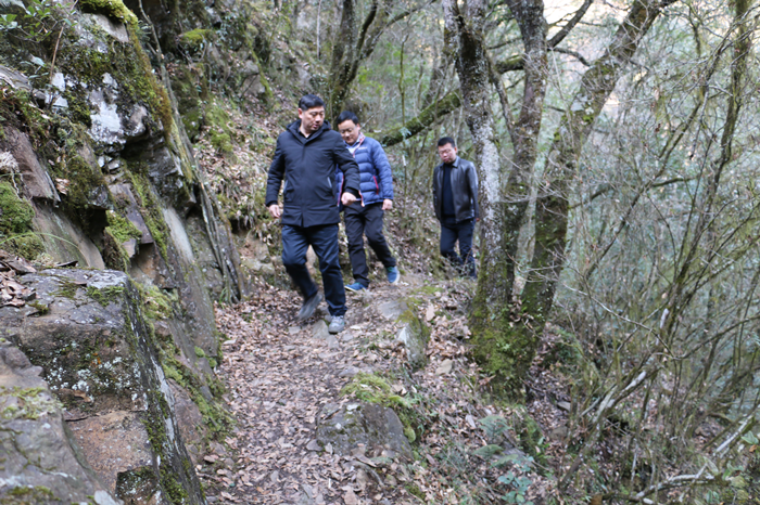 陕西化龙山国家级自然保护区